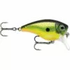 Promotion - Rapala BX Big Brat