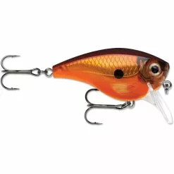 Promotion - Rapala BX Big Brat 30 Promotion - Rapala BX Big Brat -Deals Fishusa Store unnamed file 4459