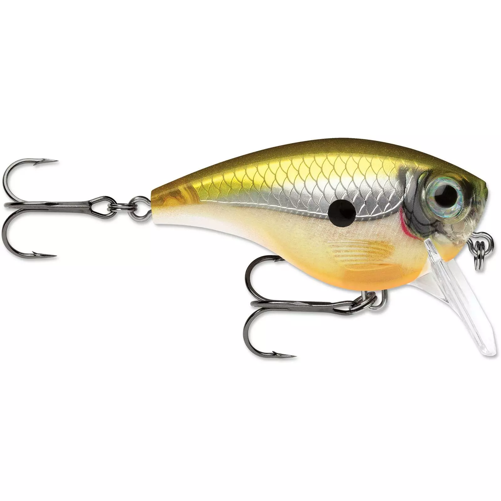 Promotion - Rapala BX Big Brat 16 Promotion - Rapala BX Big Brat - Image 16