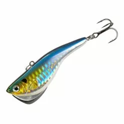 Promotion - Kamooki SmartFish