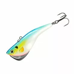 Promotion - Kamooki SmartFish -Deals Fishusa Store unnamed file 4489
