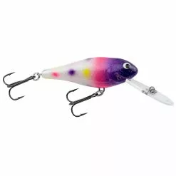 Promotion - Bagley Deep Diving Shad 24 Promotion - Bagley Deep Diving Shad -Deals Fishusa Store unnamed file 4539
