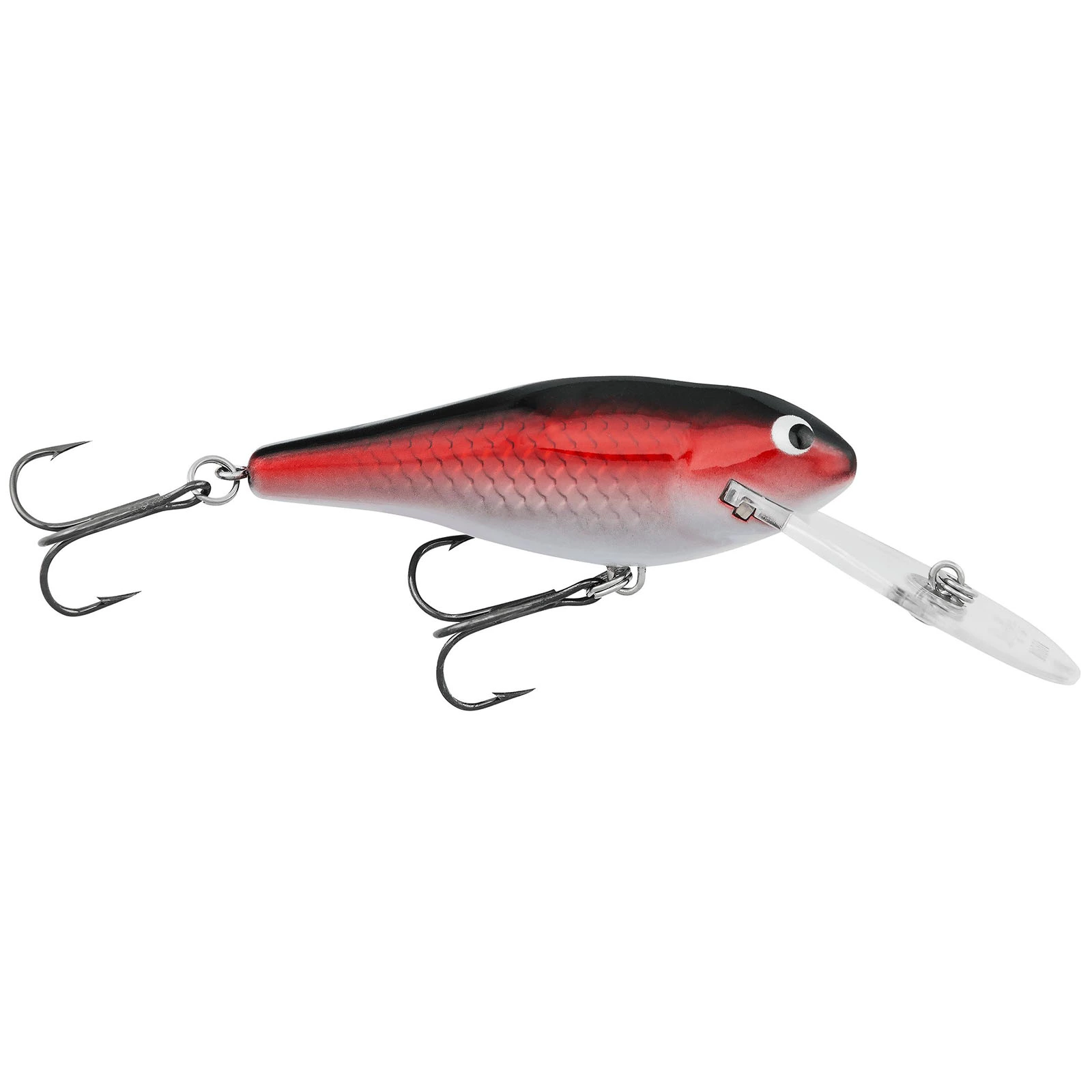 Promotion - Bagley Deep Diving Shad 6 Promotion - Bagley Deep Diving Shad - Image 6