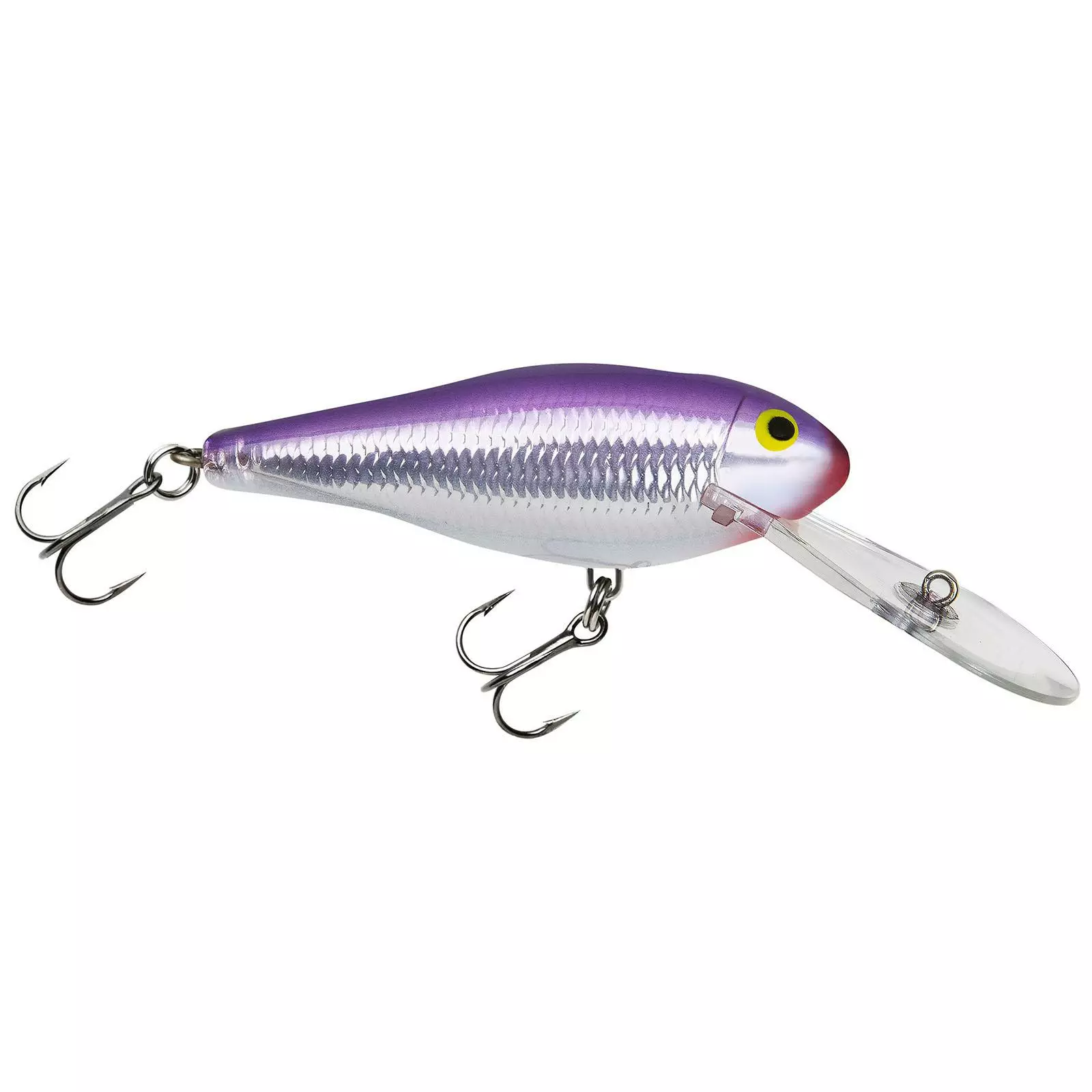 Promotion - Bagley Deep Diving Shad 7 Promotion - Bagley Deep Diving Shad - Image 7