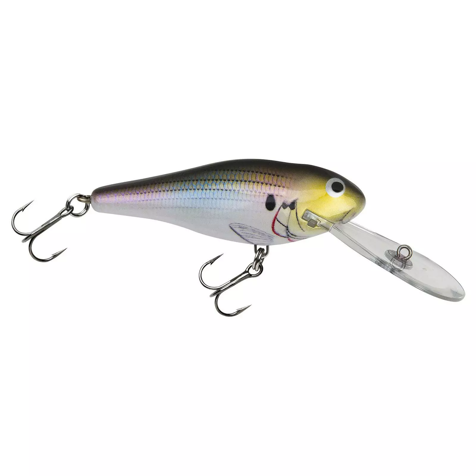 Promotion - Bagley Deep Diving Shad 8 Promotion - Bagley Deep Diving Shad - Image 8