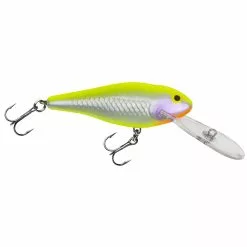 Promotion - Bagley Deep Diving Shad 34 Promotion - Bagley Deep Diving Shad -Deals Fishusa Store unnamed file 4549