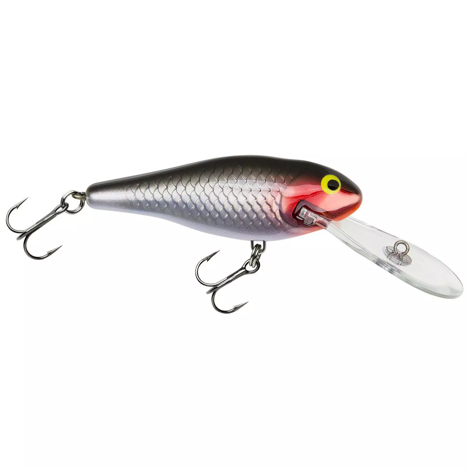 Promotion - Bagley Deep Diving Shad 16 Promotion - Bagley Deep Diving Shad - Image 16
