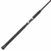 Promotion - Lamiglas Insane Saltwater Spinning Rod