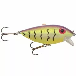 Promotion - Brad's ThinFish -Deals Fishusa Store unnamed file 4920