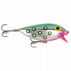 Promotion - Brad's ThinFish -Deals Fishusa Store unnamed file 4921