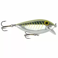 Promotion - Brad's ThinFish -Deals Fishusa Store unnamed file 4922