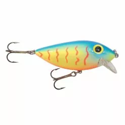 Promotion - Brad's ThinFish -Deals Fishusa Store unnamed file 4926