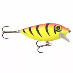 Promotion - Brad's ThinFish -Deals Fishusa Store unnamed file 4932