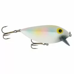 Promotion - Brad's ThinFish -Deals Fishusa Store unnamed file 4934