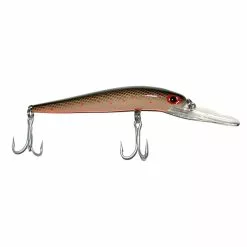 Promotion - Brad's Lip Stix Jr. -Deals Fishusa Store unnamed file 4939