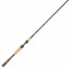 Promotion - Fenwick HMX Spinning Rod