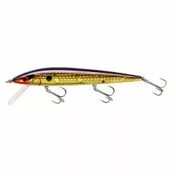 Promotion - Smithwick Suspending Elite 8 Rogue -Deals Fishusa Store unnamed file 5064