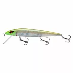 Promotion - Smithwick Suspending Elite 8 Rogue -Deals Fishusa Store unnamed file 5065
