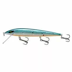 Promotion - Smithwick Suspending Elite 8 Rogue -Deals Fishusa Store unnamed file 5067