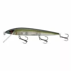 Promotion - Smithwick Suspending Elite 8 Rogue -Deals Fishusa Store unnamed file 5068