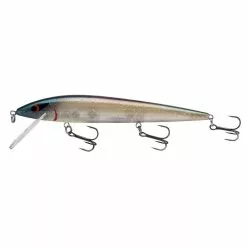 Promotion - Smithwick Suspending Elite 8 Rogue -Deals Fishusa Store unnamed file 5069