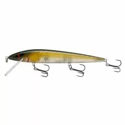 Promotion - Smithwick Suspending Elite 8 Rogue -Deals Fishusa Store unnamed file 5070