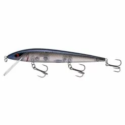 Promotion - Smithwick Suspending Elite 8 Rogue -Deals Fishusa Store unnamed file 5071