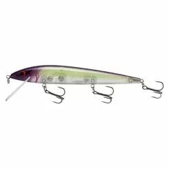 Promotion - Smithwick Suspending Elite 8 Rogue -Deals Fishusa Store unnamed file 5072