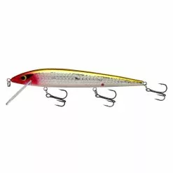 Promotion - Smithwick Suspending Elite 8 Rogue -Deals Fishusa Store unnamed file 5073