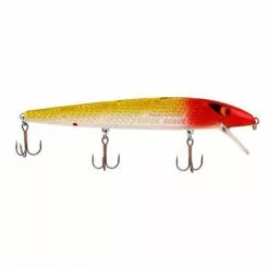Promotion - Smithwick Suspending Super Rogue -Deals Fishusa Store unnamed file 5139