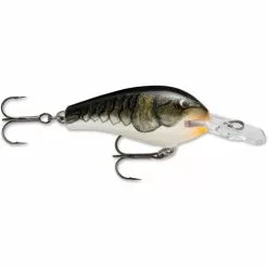 Promotion - Rapala Fat Rap 7 Promotion - Rapala Fat Rap -Deals Fishusa Store unnamed file 5274