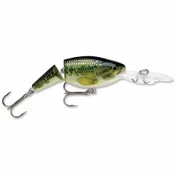 Promotion - Rapala Jointed Shad Rap 42 Promotion - Rapala Jointed Shad Rap -Deals Fishusa Store unnamed file 5479