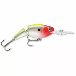 Promotion - Rapala Jointed Shad Rap 51 Promotion - Rapala Jointed Shad Rap -Deals Fishusa Store unnamed file 5488