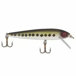 Promotion - Rebel Minnow