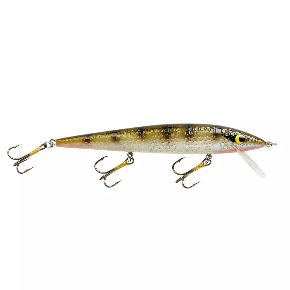 Promotion - Smithwick Suspending Rattlin Rogue 2 Promotion - Smithwick Suspending Rattlin Rogue - Image 2