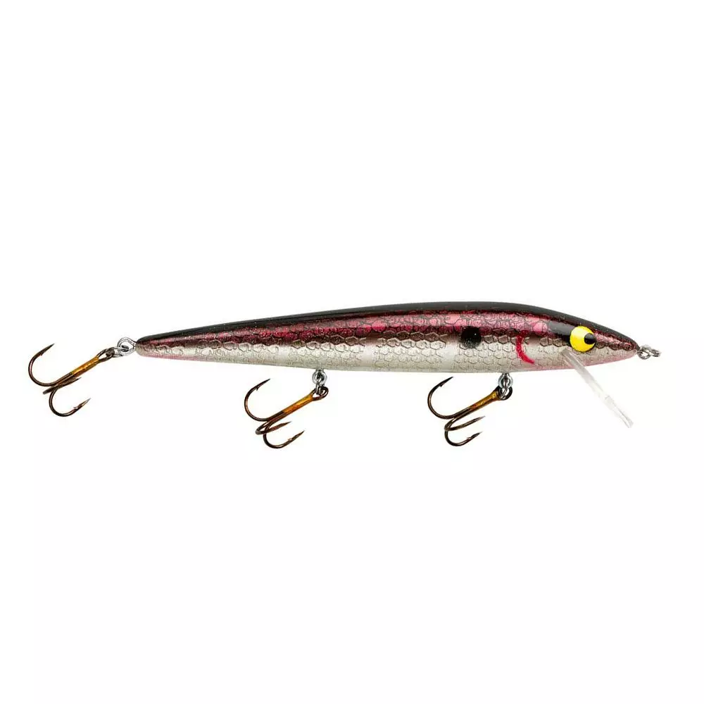 Promotion - Smithwick Suspending Rattlin Rogue 11 Promotion - Smithwick Suspending Rattlin Rogue - Image 11