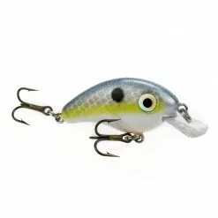 Promotion - Strike King Bitsy Minnow -Deals Fishusa Store unnamed file 5721