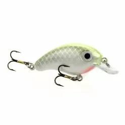 Promotion - Strike King Bitsy Minnow -Deals Fishusa Store unnamed file 5722