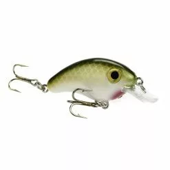 Promotion - Strike King Bitsy Minnow -Deals Fishusa Store unnamed file 5727