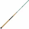Promotion - G. Loomis Fiber-Blend Greenwater Spinning Rod