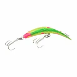 Promotion - Worden's Original Flatfish -Deals Fishusa Store unnamed file 5761