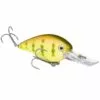 Promotion - Strike King KVD Square Bill Deep Diver Crankbait