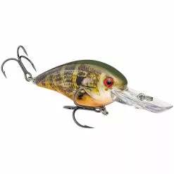 Promotion - Strike King KVD Square Bill Deep Diver Crankbait -Deals Fishusa Store unnamed file 5790
