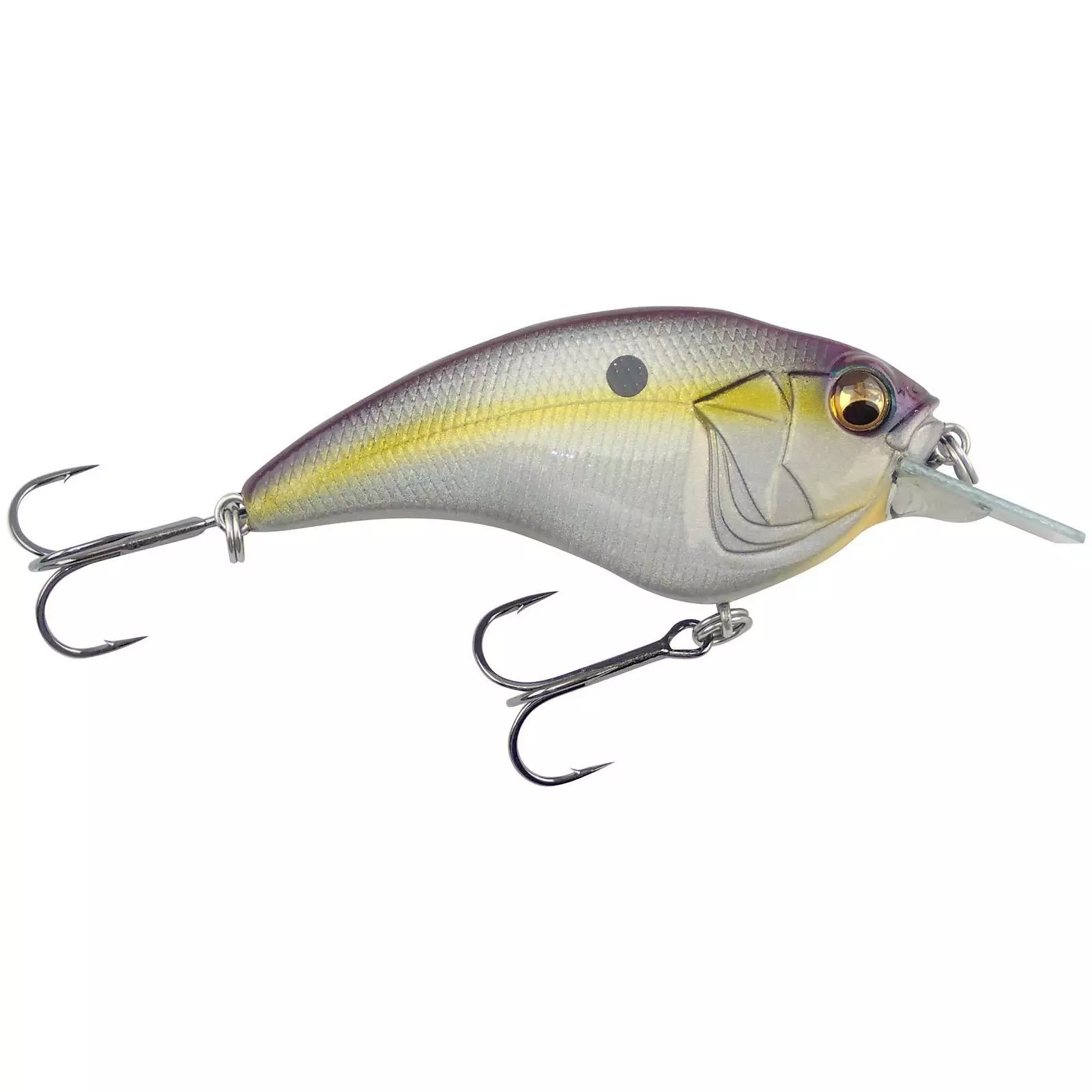 Promotion - Megabass Sonicside 2 Promotion - Megabass Sonicside - Image 2