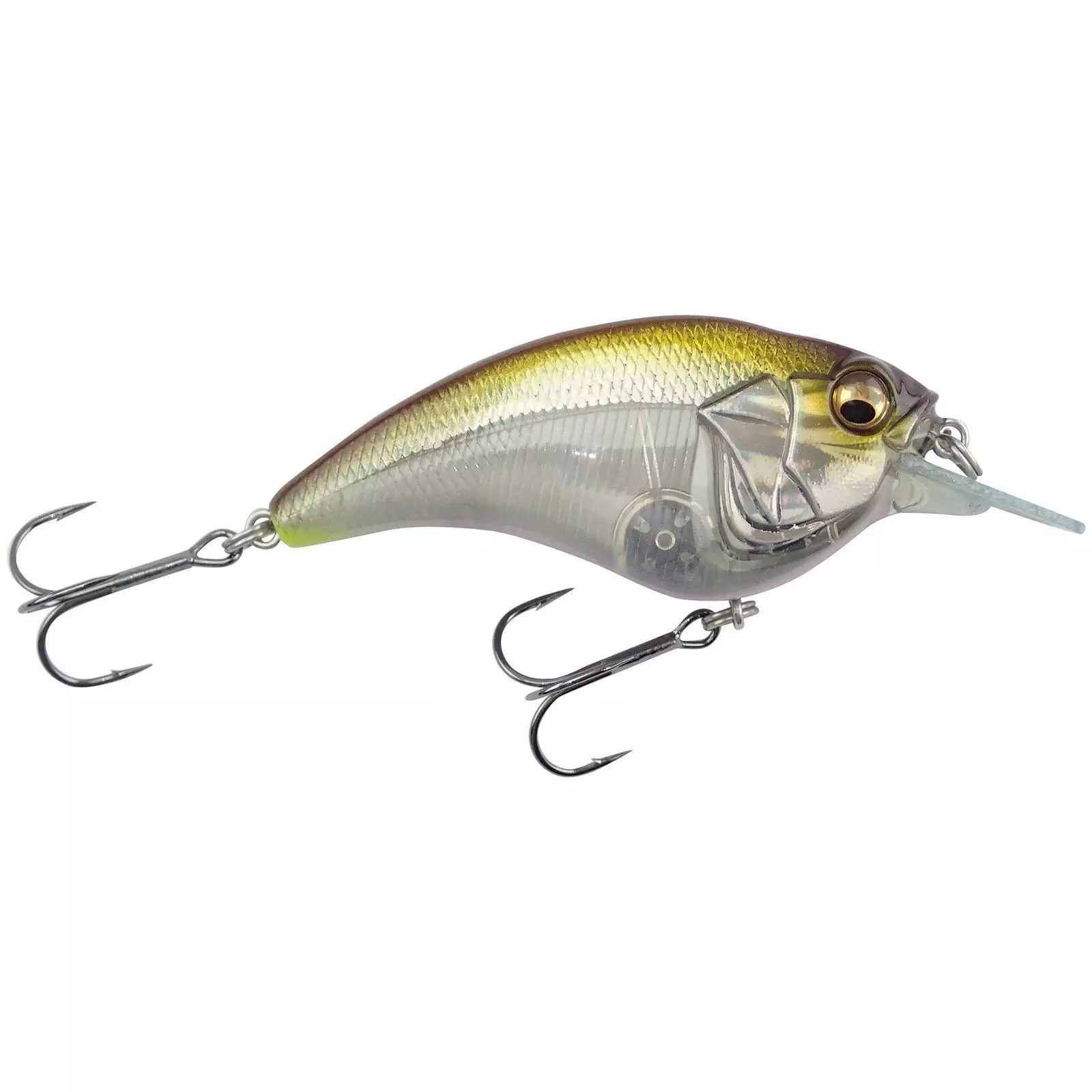 Promotion - Megabass Sonicside 6 Promotion - Megabass Sonicside - Image 6
