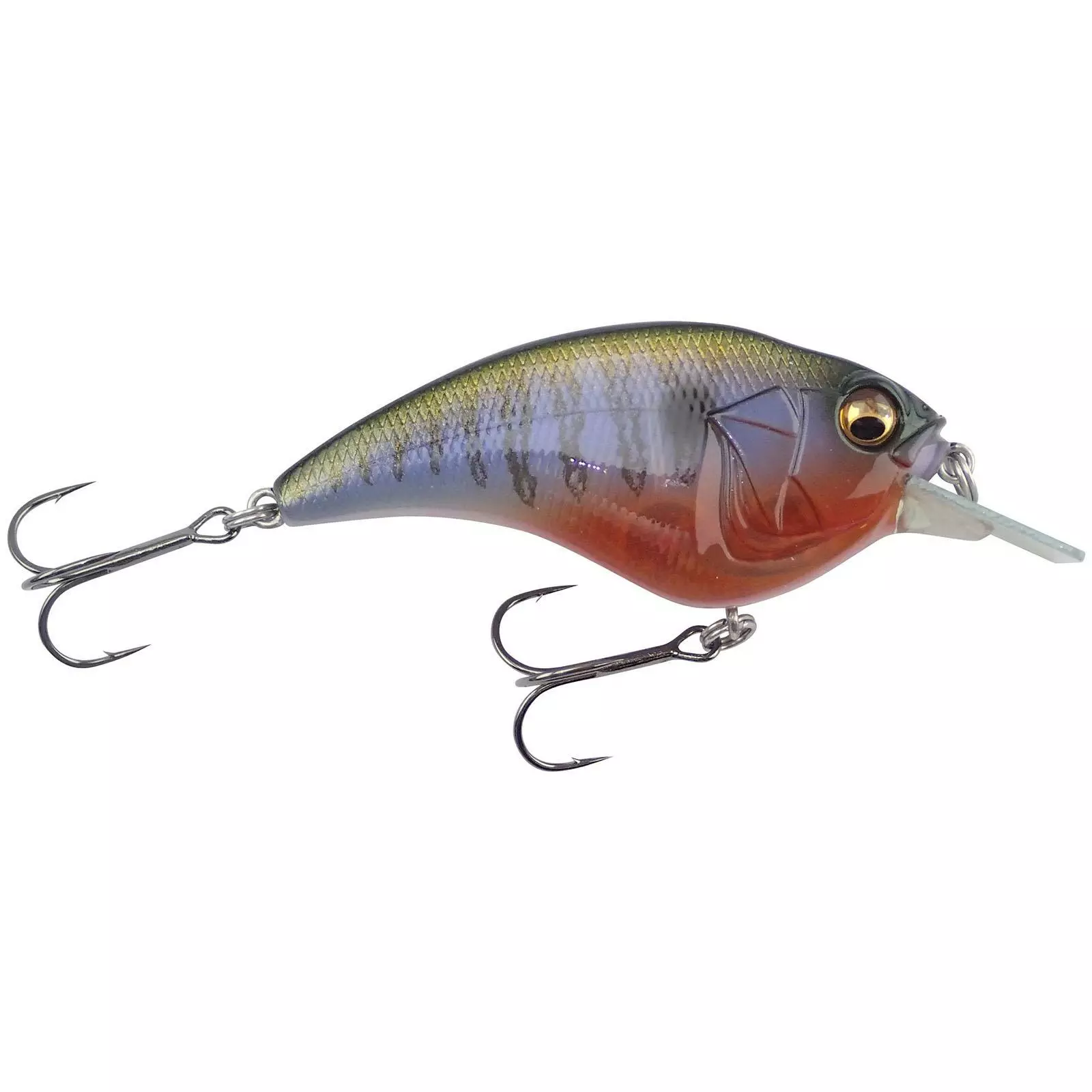 Promotion - Megabass Sonicside 8 Promotion - Megabass Sonicside - Image 8