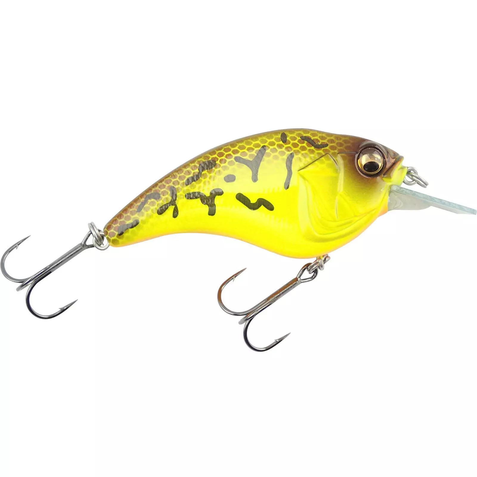 Promotion - Megabass Sonicside 9 Promotion - Megabass Sonicside - Image 9