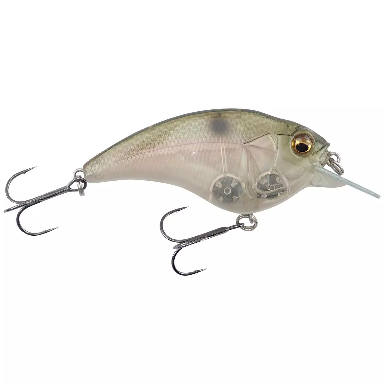 Promotion - Megabass Sonicside 12 Promotion - Megabass Sonicside - Image 12