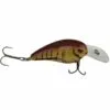 Promotion - SPRO RkCrawler MD 55 Crankbait