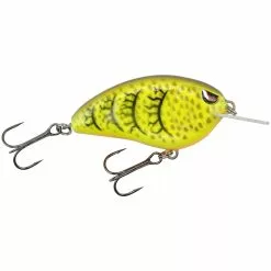 Promotion - SPRO Little John 50 Crankbait -Deals Fishusa Store unnamed file 5882